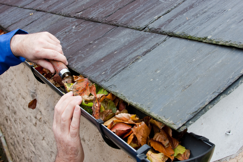 When Should You Clean, Repair, or Replace Your Gutters? - Northwest Rain  Gutter