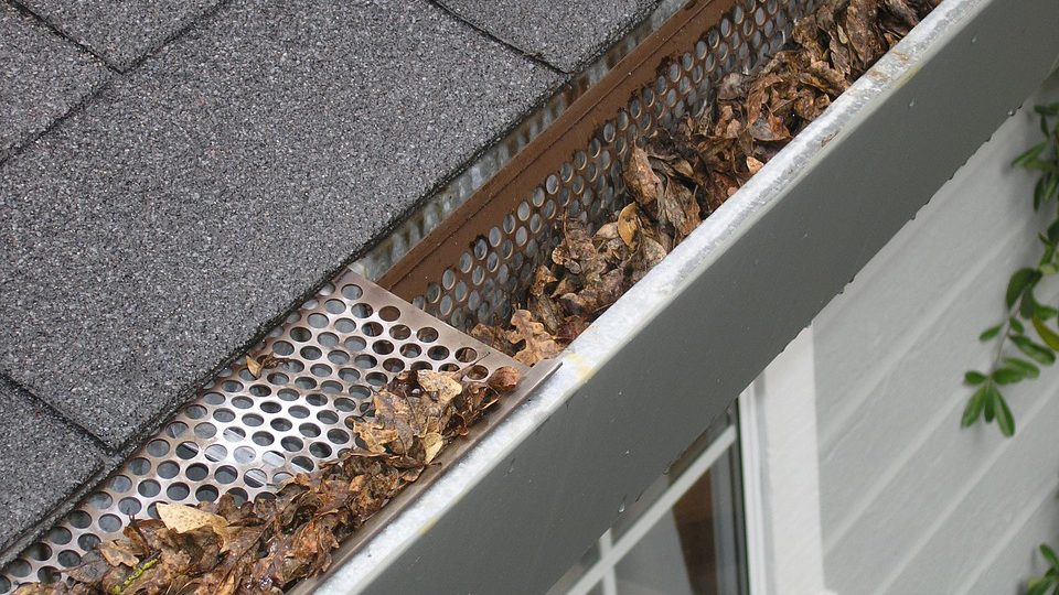 residential gutter cleaning service
